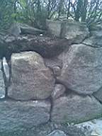 sandymount tower- 21270.jpg
